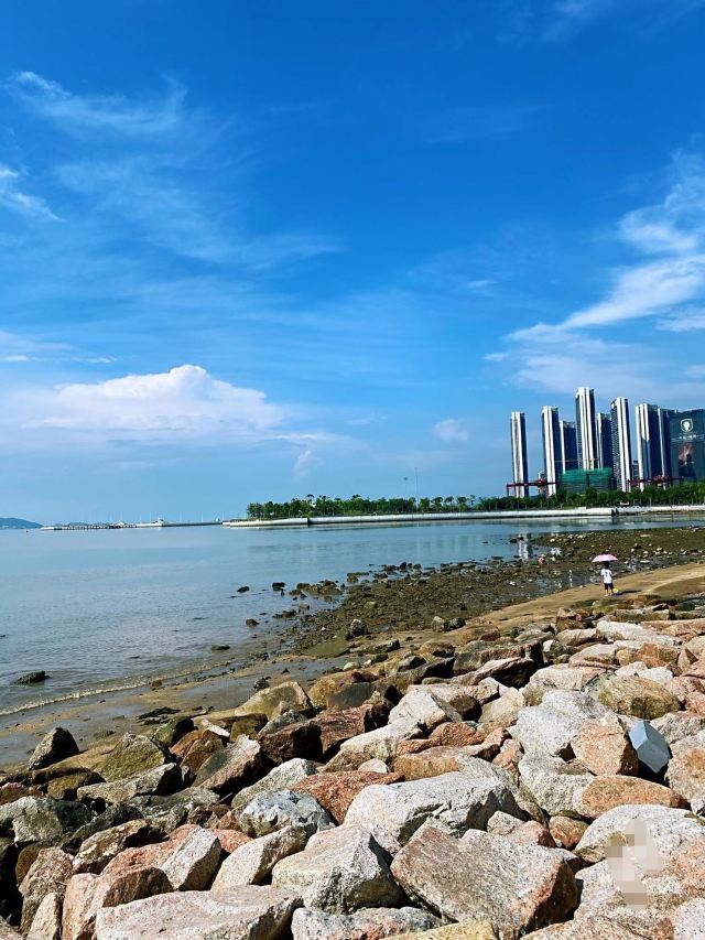 广州火车站深圳蛇口口岸接送服务